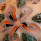Traditional Tiffany Shell Decor Stained Glass Semicircle 1-light Pendant Light for Bedroom BulbSquare