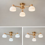 Traditional Japanese Wabi-sabi Rubberwood Hardware Glass 3/6/8-Light Flush Mount Lighting For Living Room Lumendat