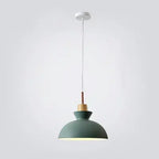Contemporary Nordic Oak Wood Iron Bell Cone Dome 1-light Pendant Light for Living Room Lumendat