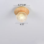 Japanese Minimalist Glass Iron Woodgrain 1-light Semi-flush Mount Ceiling Light
