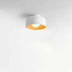Minimalist Dome Wood Grain Iron 1-Light Semi- Flush Mount Ceiling Lumendat