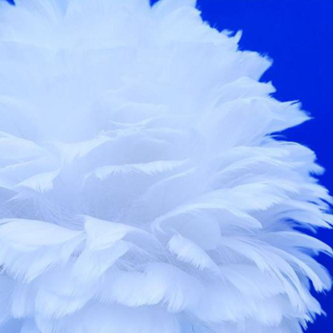 Lumendat Modern Creative Unicorn Feather Children 1-Light Table Lamp Lumendat