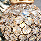 European Vintage Peacock Resin 1-Light Wall Sconce Lamp