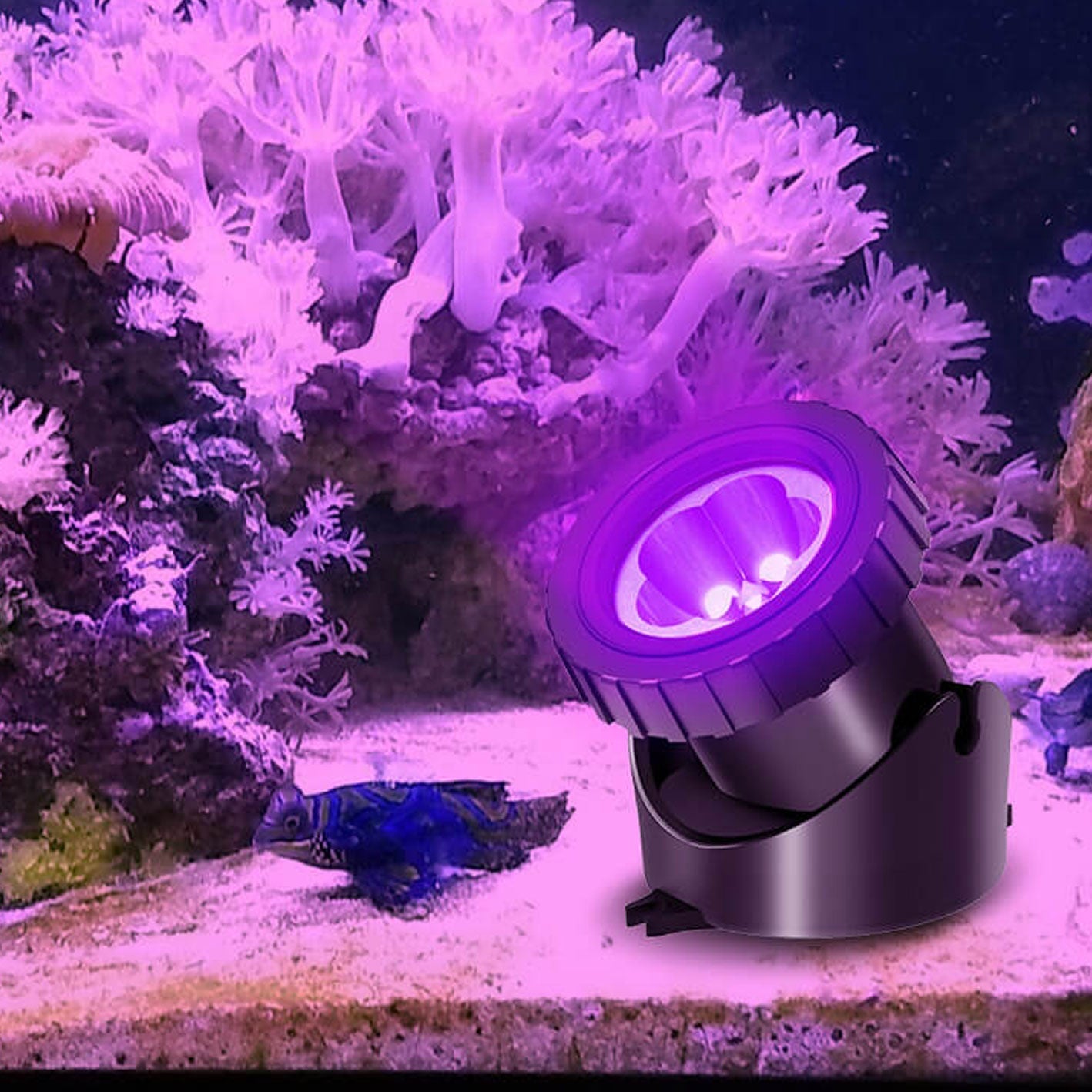 Solar Waterproof RGB Lawn Decoration LED Spotlight Landscape Light Lumendat