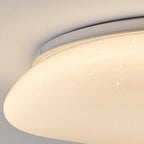Modern Minimalist Pebble Shape Acrylic Hardware LED Flush Mount Ceiling Light For Bedroom Lumendat