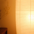 Nordic Minimalist Rice Paper Column 2-Light Standing Floor Lamp Lumendat