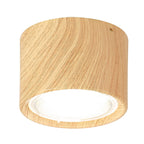 Nordic Cylinder Spotlight LED Flush Mount Ceiling Light BulbSquare