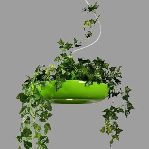 Modern Creative Refreshing Circle Plant 1-light Pendant Light Lumendat
