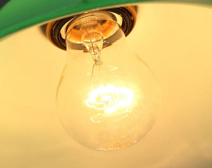 Vintage Industrial Green Bell Glass 1-light Pendant Light