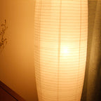 Nordic Minimalist Rice Paper Column 2-Light Standing Floor Lamp Lumendat