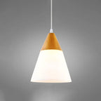 Nordic Wood Grain Glass Cone Shaped 1-light Pendant Light Lumendat