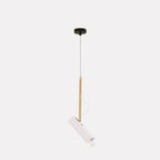 Modern Minimalist Gold 1-light LED Spotlight Pendant Light Lumendat
