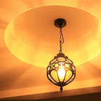 Retro Industrial Globe Shape 1-light Outdoor Waterproof Pendant Light Lumendat
