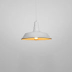 Contemporary Industrial Round Iron 1-light Pendant Light for Living Room Lumendat