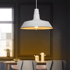 Contemporary Industrial Round Iron 1-light Pendant Light for Living Room modern luxury lighting fixture