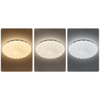 Modern Minimalist Shell Acrylic Round LED Flush Mount Ceiling Light Lumendat