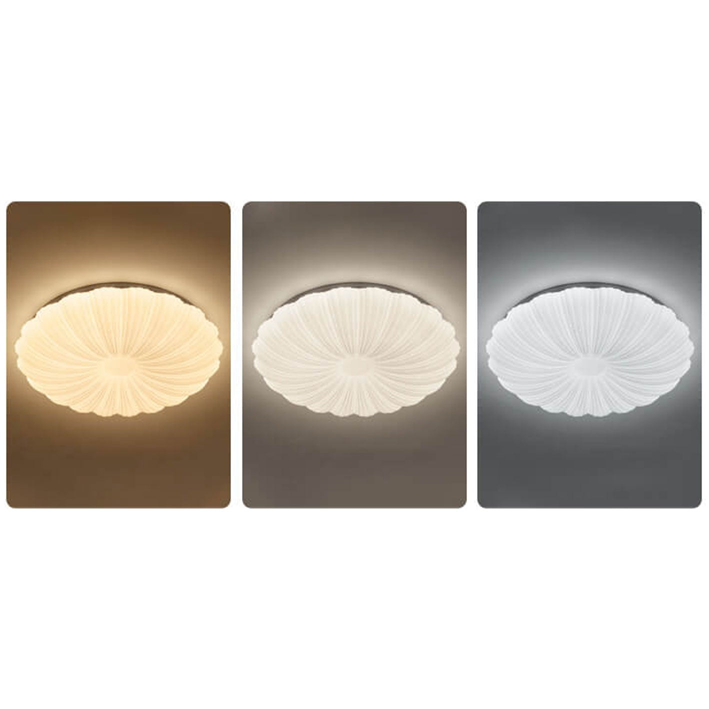 Modern Minimalist Shell Acrylic Round LED Flush Mount Ceiling Light Lumendat