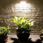 Solar Trapezoid Induction Outdoor Waterproof Patio LED Wall Sconce Lamp