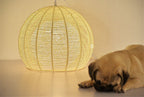 Modern Double Rattan Shade 1-Light Globe Pendant Light
