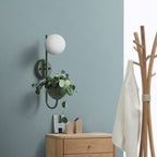 Sphere 1-Light Storage Box Planting Pot Decoration Wall Sconce Lamps