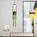 Glass Ball 1-light Plant Hanging Pendant Light BulbSquare
