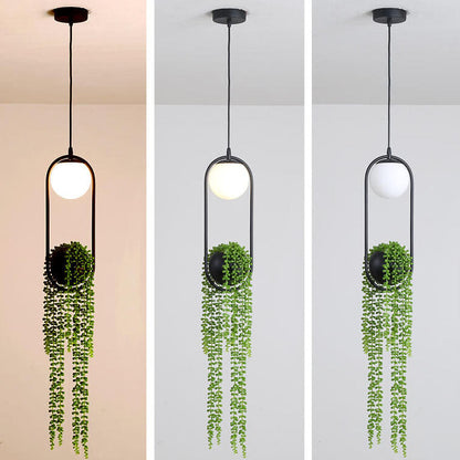 Glass Ball 1-light Plant Hanging Pendant Light