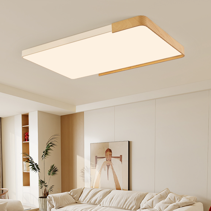 Contemporary Nordic Acrylic Iron Rectangular LED Flush Mount Ceiling Light For Living Room & Bedroom
