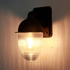 Modern Minimalist Waterproof Nut-Shaped Aluminum Glass 1-Light Outdoor Wall Sconce Lamp For Gardens
