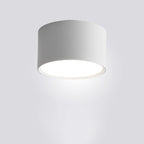 Modern Minimalist Cylinder Aluminum Acrylic LED Flush Mount Ceiling Light For Hallways Lumendat