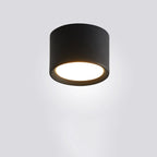 Modern Minimalist Cylinder Aluminum Acrylic LED Flush Mount Ceiling Light For Hallways Lumendat