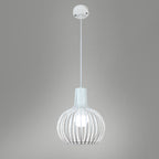 Contemporary Creative Round Birdcage Iron 1 - Light Pendant Light For Dining Room