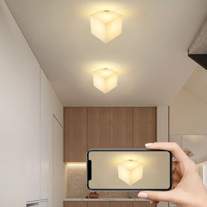 Modern Simplicity Dome Polygonal Roto-molding Metal Pvc 1 - Light Semi-flush Mount Ceiling Light for Hallways