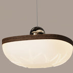 Contemporary Retro Semicircle Roto-molding Acrylic Lampshade Iron LED Pendant Light For Dining Room