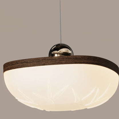Contemporary Retro Semicircle Roto-molding Acrylic Lampshade Iron LED Pendant Light For Dining Room