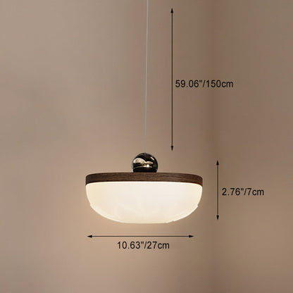 Contemporary Retro Semicircle Roto-molding Acrylic Lampshade Iron LED Pendant Light For Dining Room