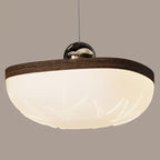 Contemporary Retro Semicircle Roto-molding Acrylic Lampshade Iron LED Pendant Light For Dining Room