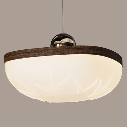 Contemporary Retro Semicircle Roto-molding Acrylic Lampshade Iron LED Pendant Light For Dining Room