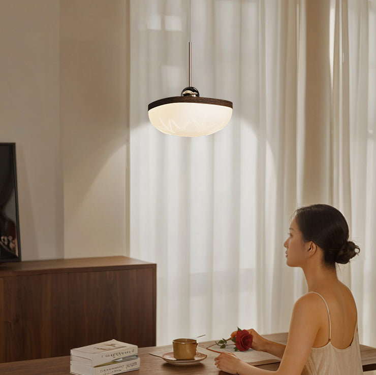 Contemporary Retro Semicircle Roto-molding Acrylic Lampshade Iron LED Pendant Light For Dining Room
