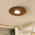 Contemporary Retro Round Disc Iron Acrylic Lampshade LED Flush Mount Ceiling Light For Bedroom