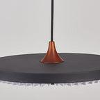 Contemporary Scandinavian Dome Disc Wrinkles PP Iron Ash LED Pendant Light For Dining Room