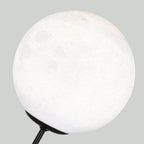 Contemporary Creative Panda Resin Base PVC Lampshade LED Table Lamp For Bedroom Lumendat