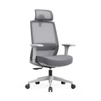 Modern Minimalist Ergonomic Desk Chair - 4D Headrest Breathable Mesh Chair: Lumbar Support Gaming Chair With Height Adjustment & Swivel For Home Office Lumendat