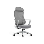 Stylish & Comfortable High Back Desk Chair - Minimalist Breathable Mesh & Premium Lumbar Support For Home Office Lumendat