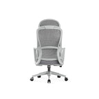 Stylish & Comfortable High Back Desk Chair - Minimalist Breathable Mesh & Premium Lumbar Support For Home Office Lumendat