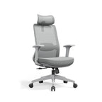 Premium Ergonomic Office Desk Chair - Minimalist High-Back Manager Chair With 2D Headrest & SGS Certified Gas Lift For Home Office Lumendat