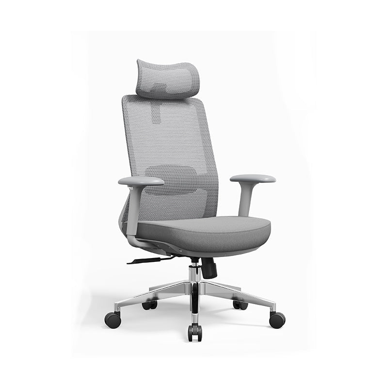 Ergonomic Adjustable Manager Desk Chair - Minimalist Durable High-Back Chair With 4D Adjustable Armrests & Silent Casters For Home Office Lumendat