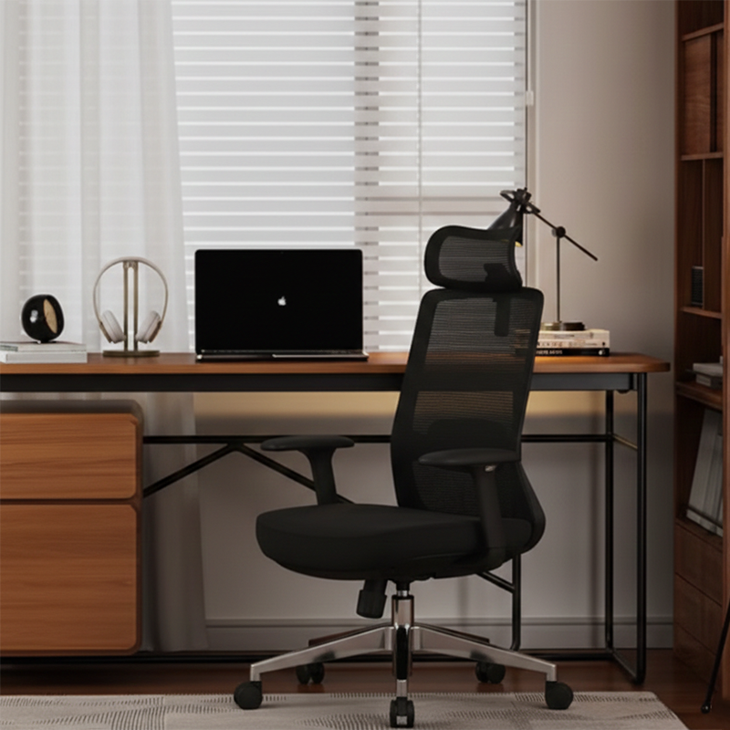 Premium Ergonomic High-Back Executive Desk Chair - Minimalist High-Back Chair With Adjustable Features & BIFMA Certified Casters For Home Office Lumendat