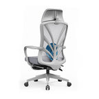Ergonomic Peacock Back Chair With Adjustable Headrest & Lumbar Support Desk Chair - Minimalist Resting Chair With 150° Recline & High-Density Sponge For Maximum Comfort For Home Office Lumendat