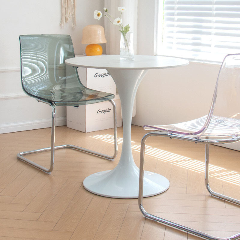 Modern Minimalist Curved Plastic Steel Dining Chair Backrest For Dining Room DFM-F