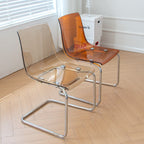 Modern Minimalist Curved Plastic Steel Dining Chair Backrest For Dining Room DFM-F